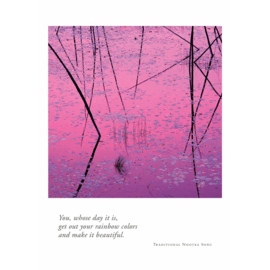 BIRTHDAY - PINK LILY PADS