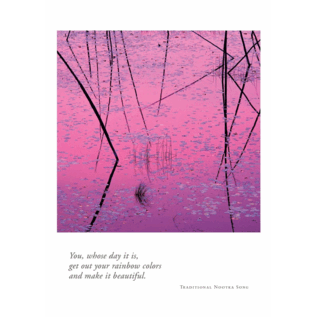 BIRTHDAY - PINK LILY PADS