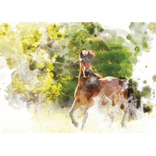 BLANK CARD WATERCOLOR  HORSE
