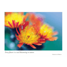 BIRTHDAY CARD YOU MAKE THIS WORLD BEAUTIFUL