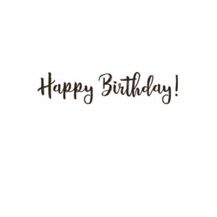 BIRTHDAY CARD BIG PINK FLOWER