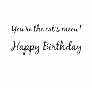 Birthday Card Party Animal