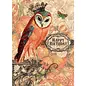 BIRTHDAY CARD- BIRTHDAY HOOT
