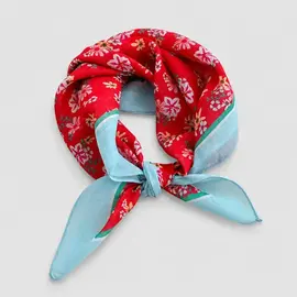RED KERCHIEF BLUE BORDER