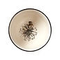 SUNFLOWERS BOWL