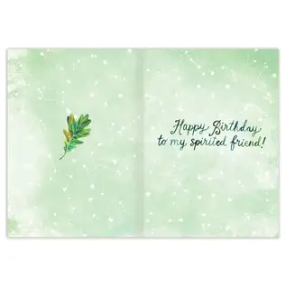 BIRTHDAY  - STAY WILD