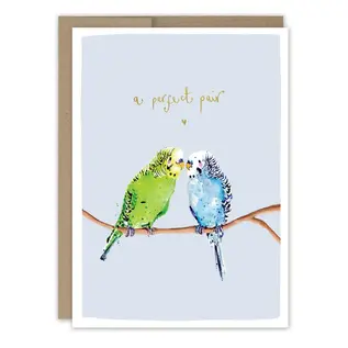 ANNIVERSARY - PARAKEETS