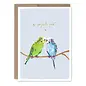 ANNIVERSARY - PARAKEETS