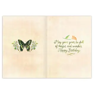 BIRTHDAY  - BUTTERFLIES AND MUSHROOMS