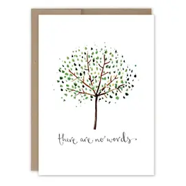 SYMPATHY -  THERE ARE NO WORDS