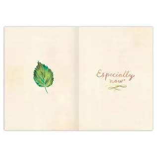 SYMPATHY - HOLDING YOU IN MY HEART