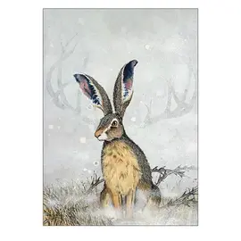 BLANK CARD - THE SO AND SO HARES