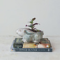 CERAMIC BUNNY PLANT POT