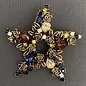 JEWELED STAR PIN