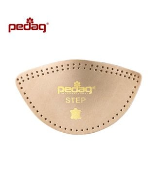 Pedag step art.166