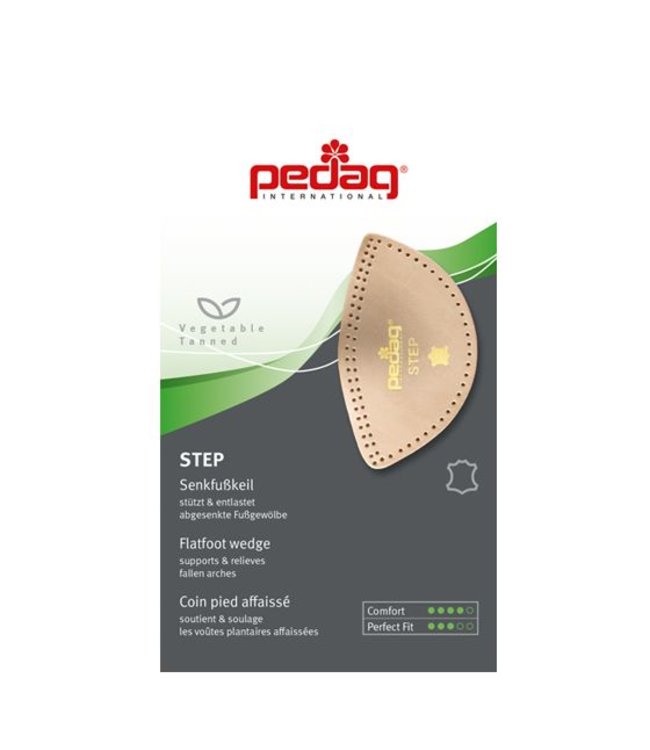 Pedag step art.166
