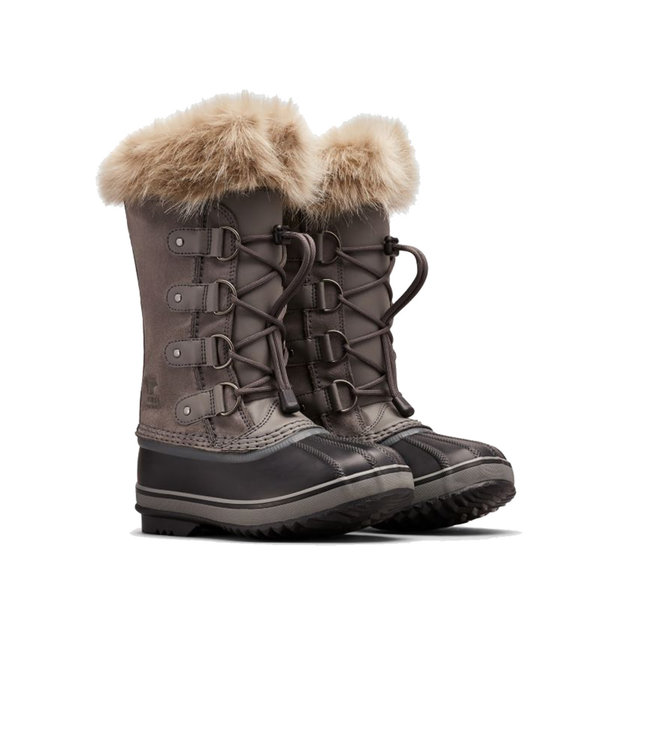 Sorel Youth Joan of Arctic Carrière
