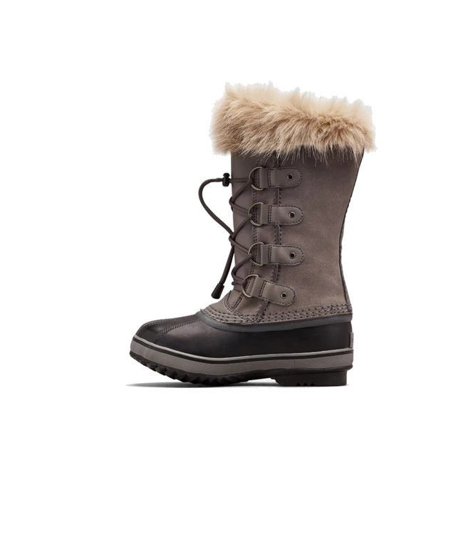 Sorel Youth Joan of Arctic Carrière