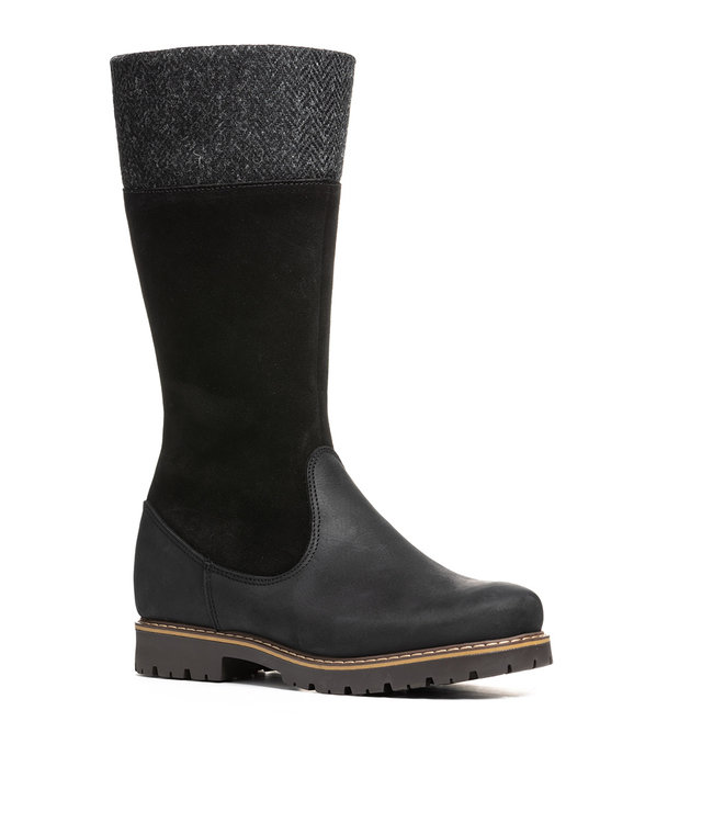 Anfibio Laurentia Black