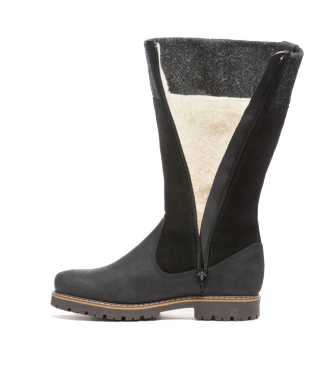 Anfibio Laurentia Noir