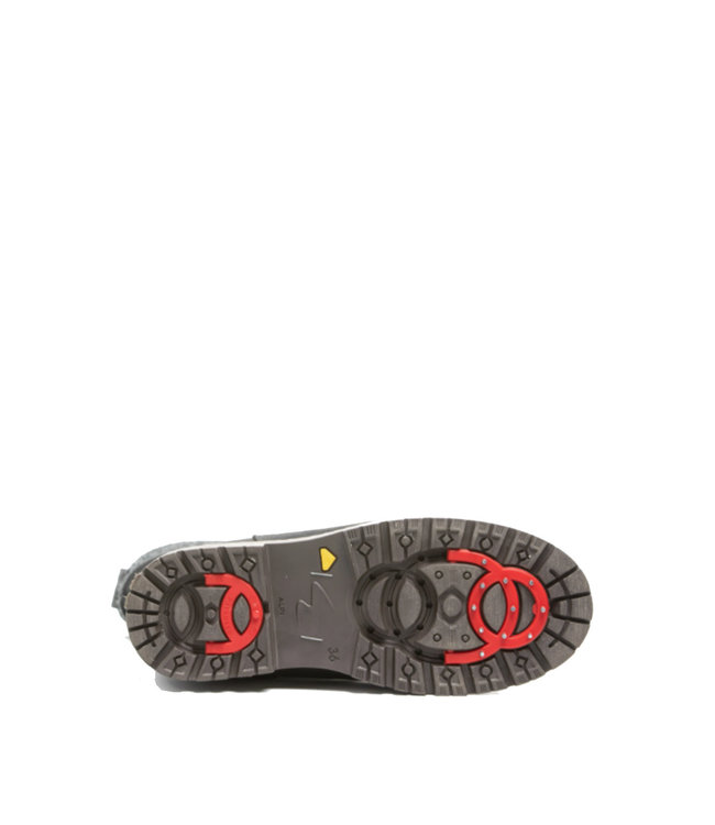 Anfibio Laurentia Noir