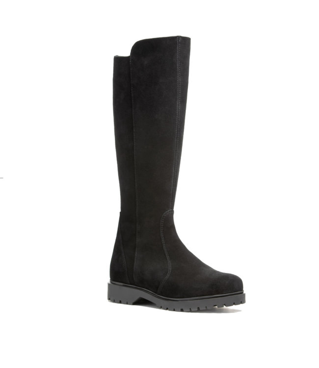 Anfibio Jaxton Black