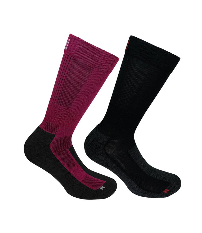 Norfolk Leonardo Black/ Magenta 2 pairs per pack