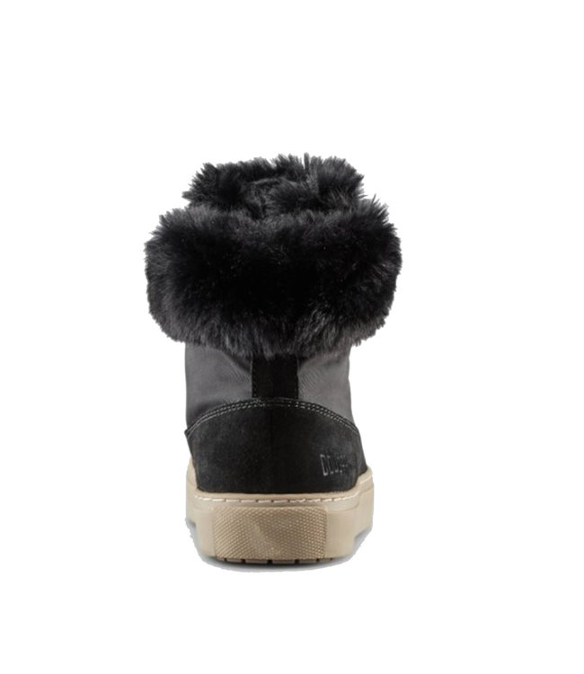 Cougar Cougar Dubliner Noir