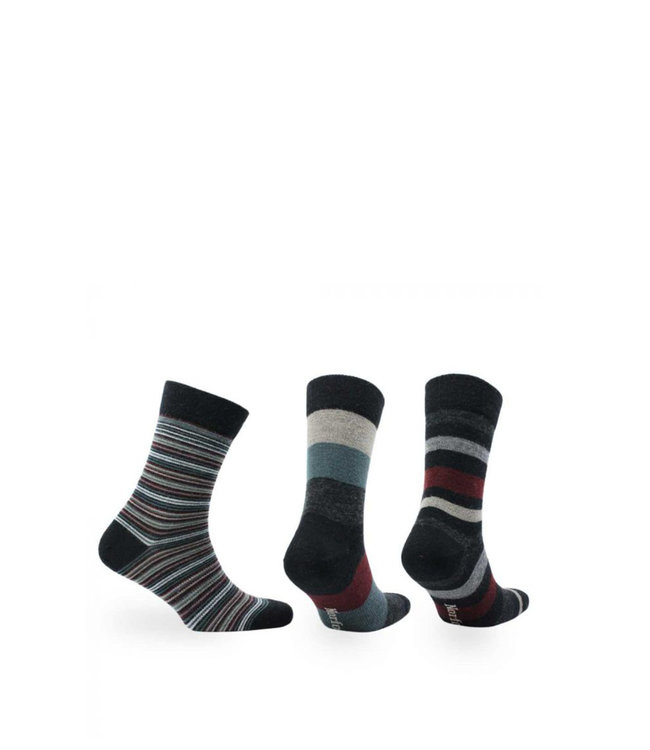 Norfolk Stockholm A2 Multi 3 paires par paquet