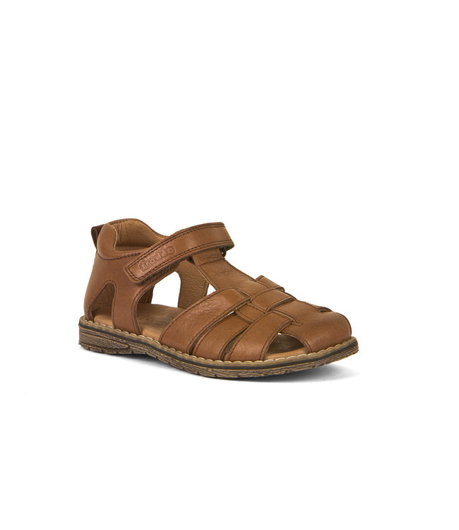 Froddo Daros C Brown