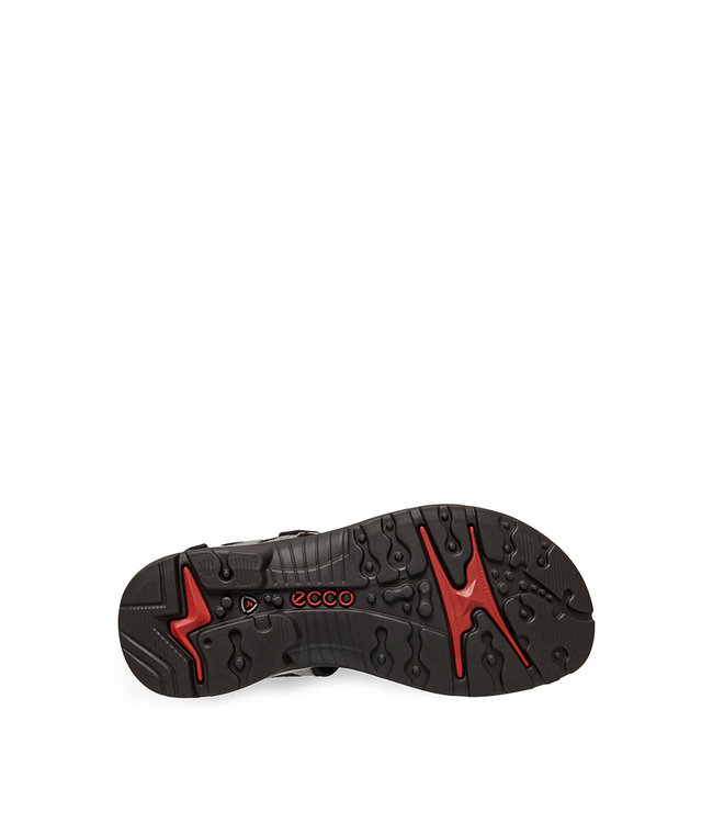 Ecco Offroad Titanium