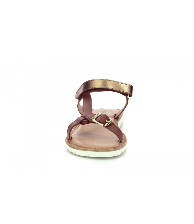 Kickers Braska Camel