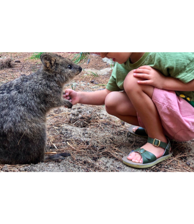 Salt Water Sandals Canada Surfer Olive
