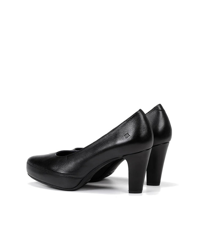 Dorking by Fluchos Blesa Noir