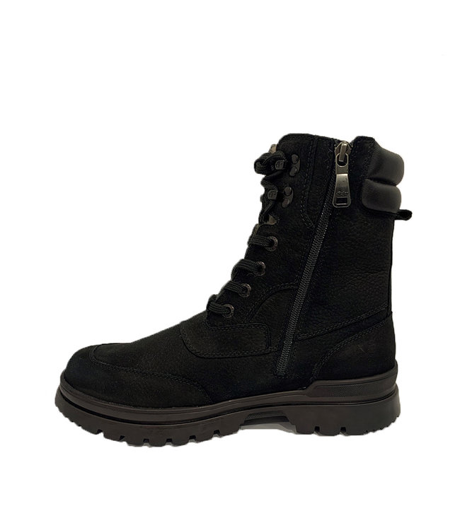 Pajar Heritage Collection  : Charles-S Black