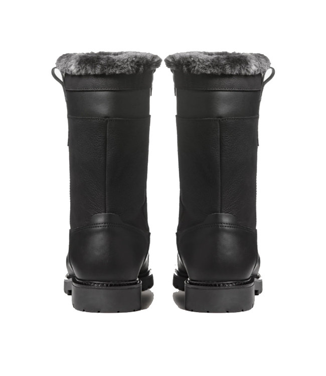 Anfibio Harfang Noir