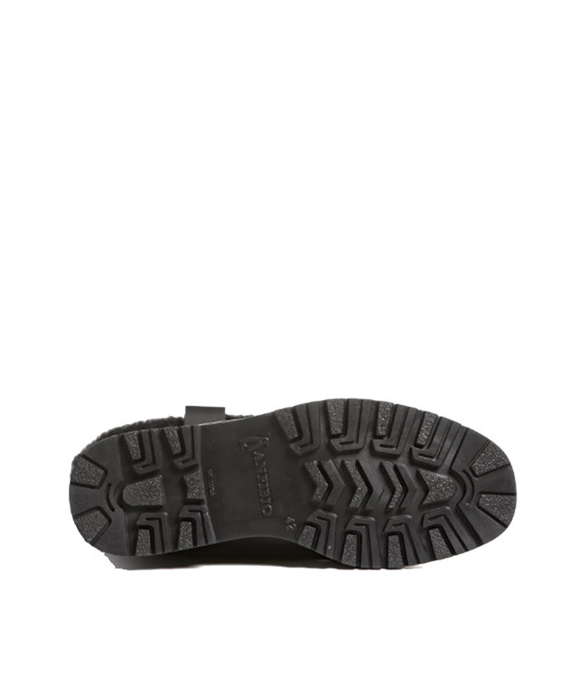 Anfibio Harfang Black