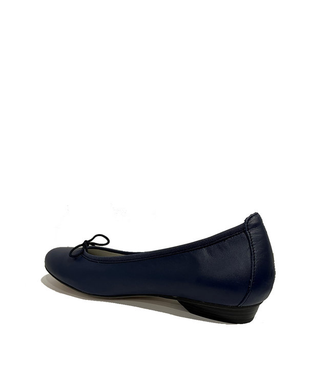 Dorking by Fluchos D8707 Marine