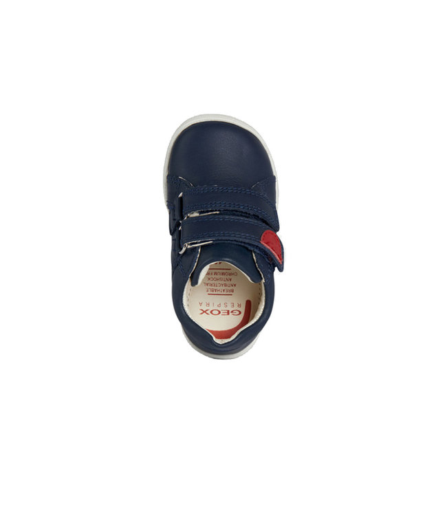 Geox Macchia Navy