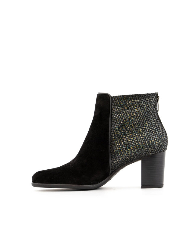 Dorking by Fluchos King Black Multi