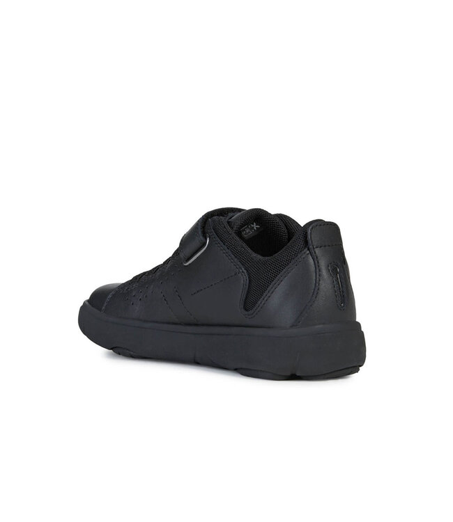 Geox Nebcup Black