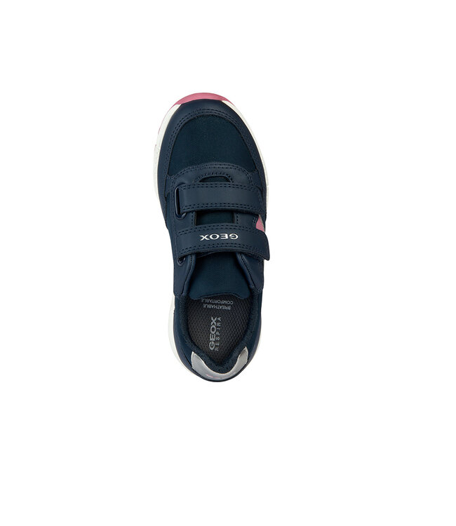 Geox Alben Navy / Fuchsia