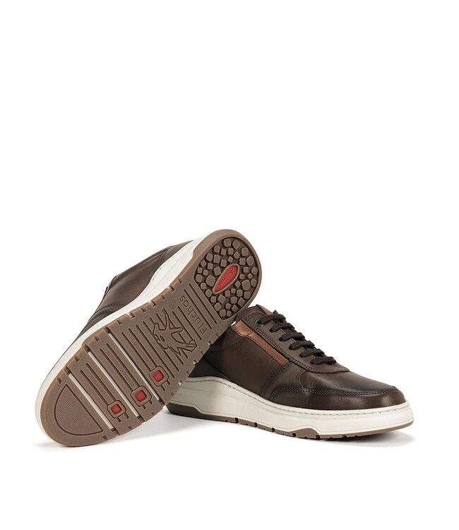 Fluchos Lotus F1617 Café