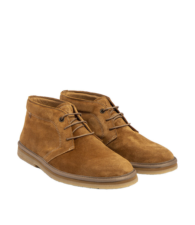 El Naturalista 5950 LUMBIER TOFFEE