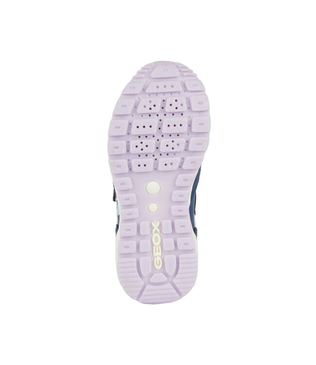 Geox J Pavel  Marine  / Lilas