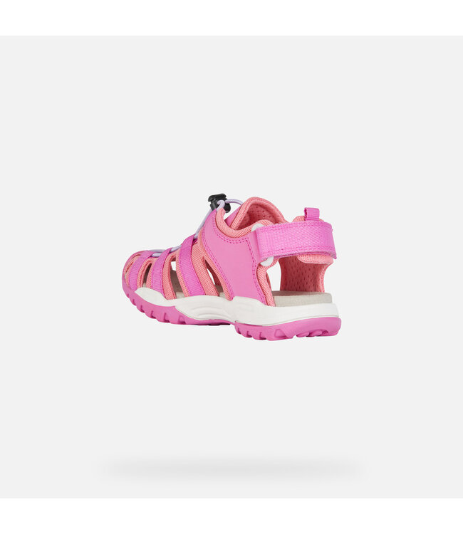 Geox Borealis Fushia / Corail