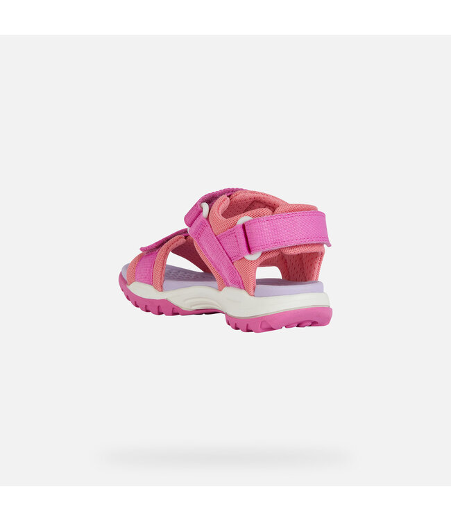 Geox Borealis Fushia / Corail