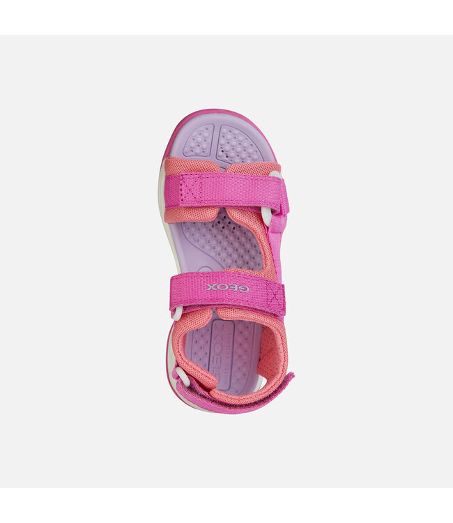 Geox Borealis Fuchsia/Light Coral
