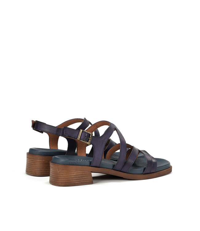 Dorking by Fluchos Poleo D9208 Navy