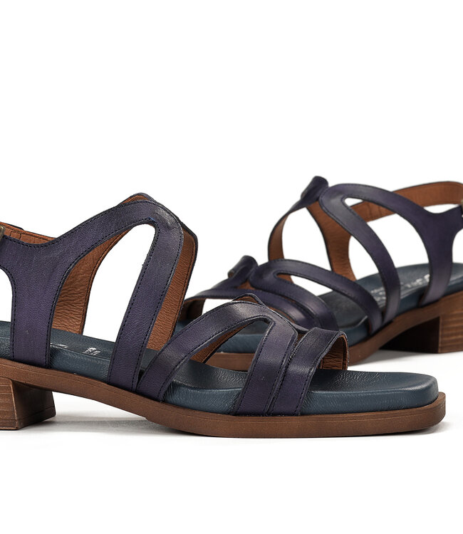 Dorking by Fluchos Poleo D9208 Marine